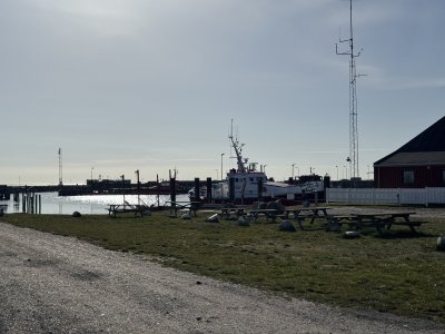 gedser-harbour-spring-02